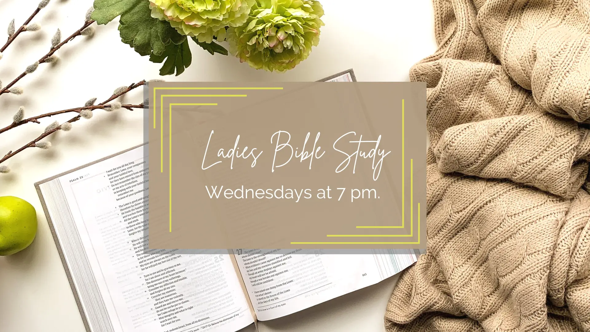 Ladies Wednesday Night Bible Study